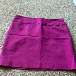 Ann Taylor Skirt